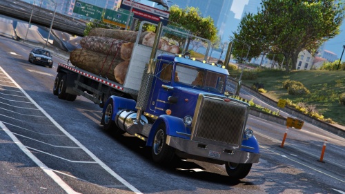 Peterbilt 289 - грузовик с лесом